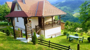 Kuca za odmor Drina & Tara